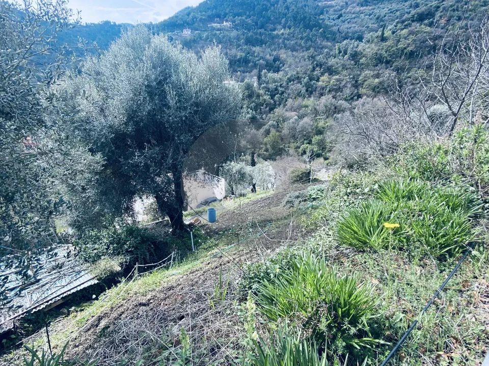 Helårsgrund i Gorbio, Alpes-Maritimes - foto 5