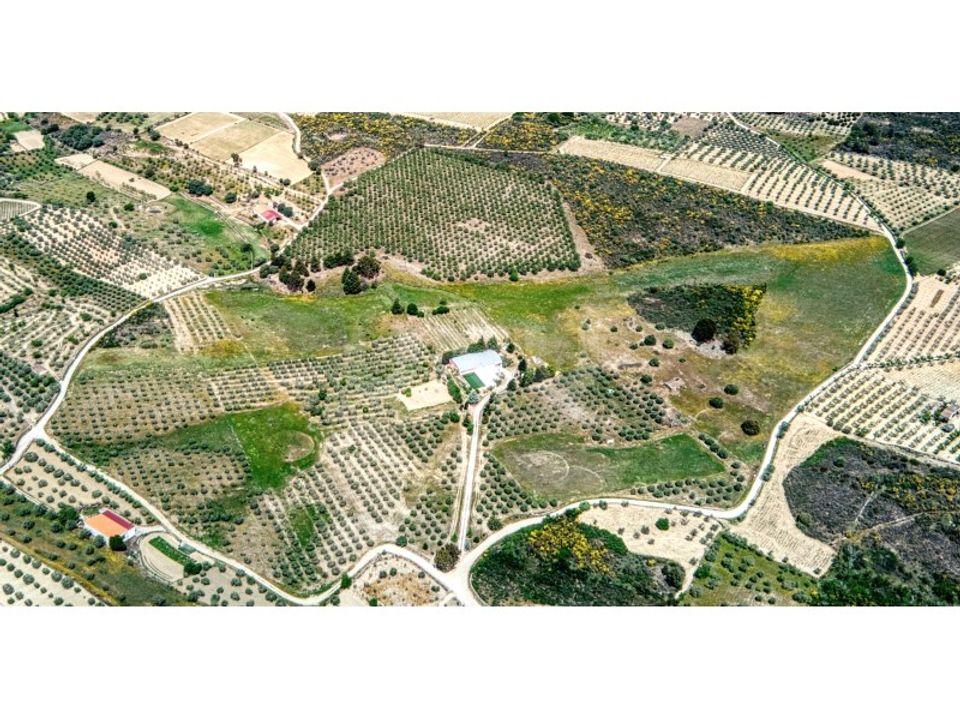 Farm i Sao Joao da Pesqueira, Viseu - foto 1