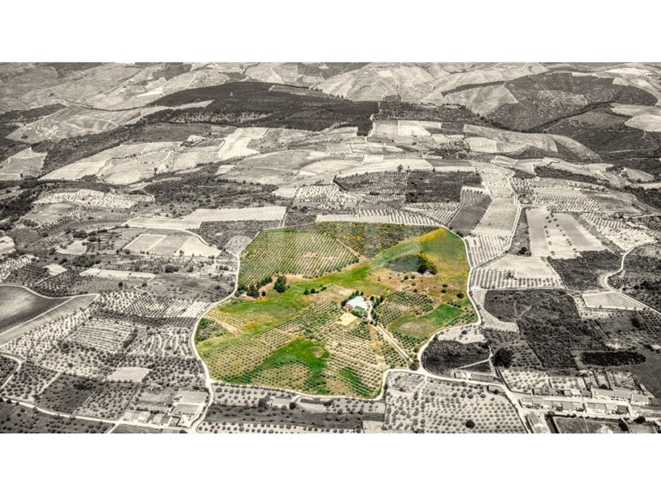 Farm i Sao Joao da Pesqueira, Viseu - foto 2