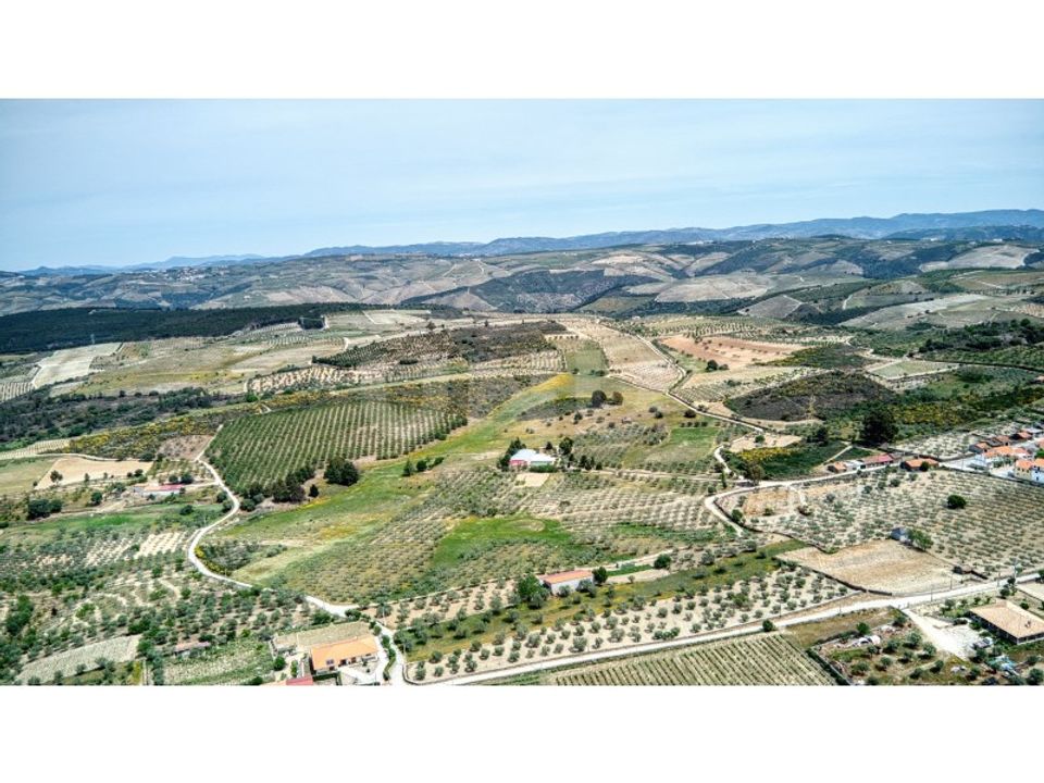 Farm i Sao Joao da Pesqueira, Viseu - foto 3