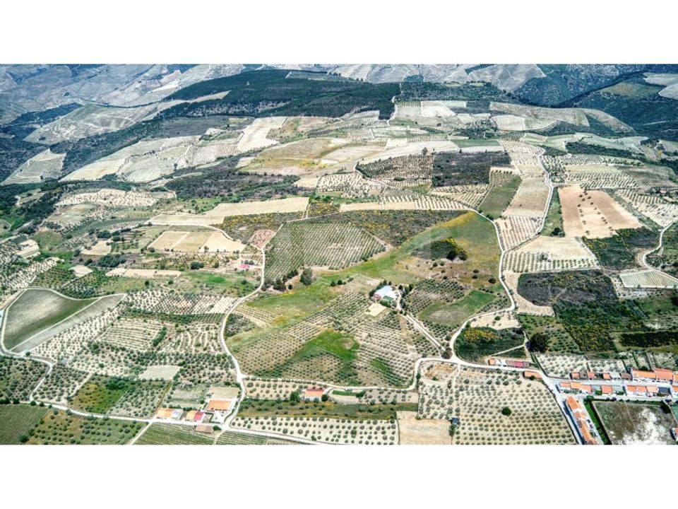 Farm i Sao Joao da Pesqueira, Viseu - foto 4