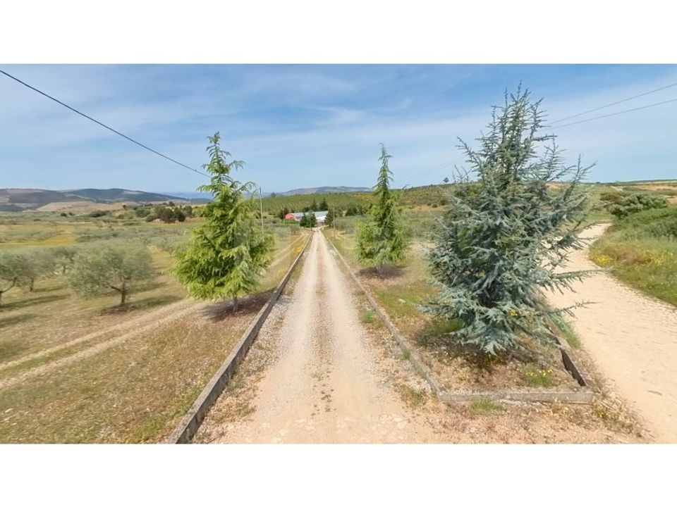 Farm i Sao Joao da Pesqueira, Viseu - foto 5