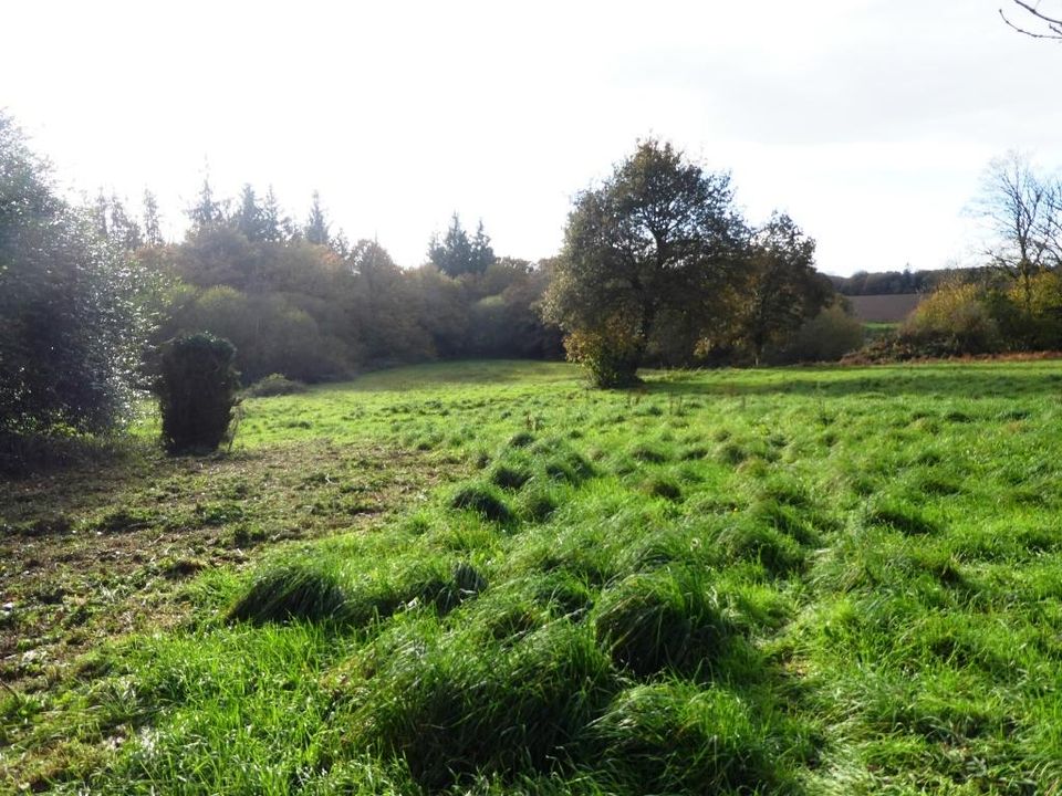 Landejendom i Langoelan, Morbihan - foto 4