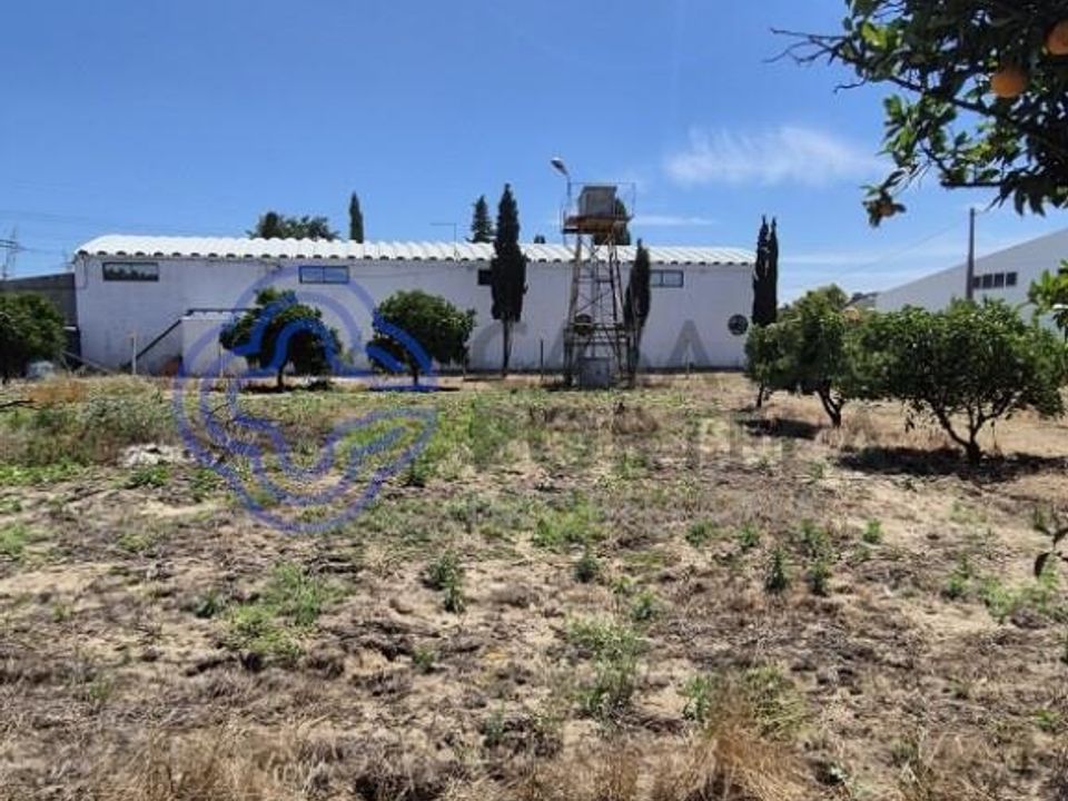 Helårsgrund i Palmela, Setubal - foto 5