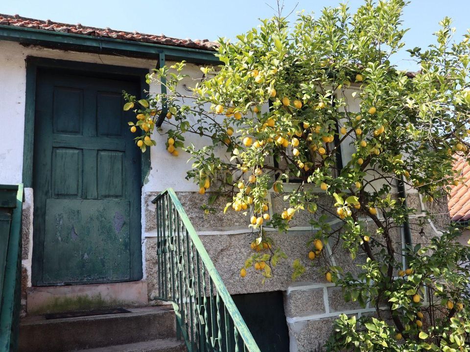 Villa i Amarante, Porto - foto 3
