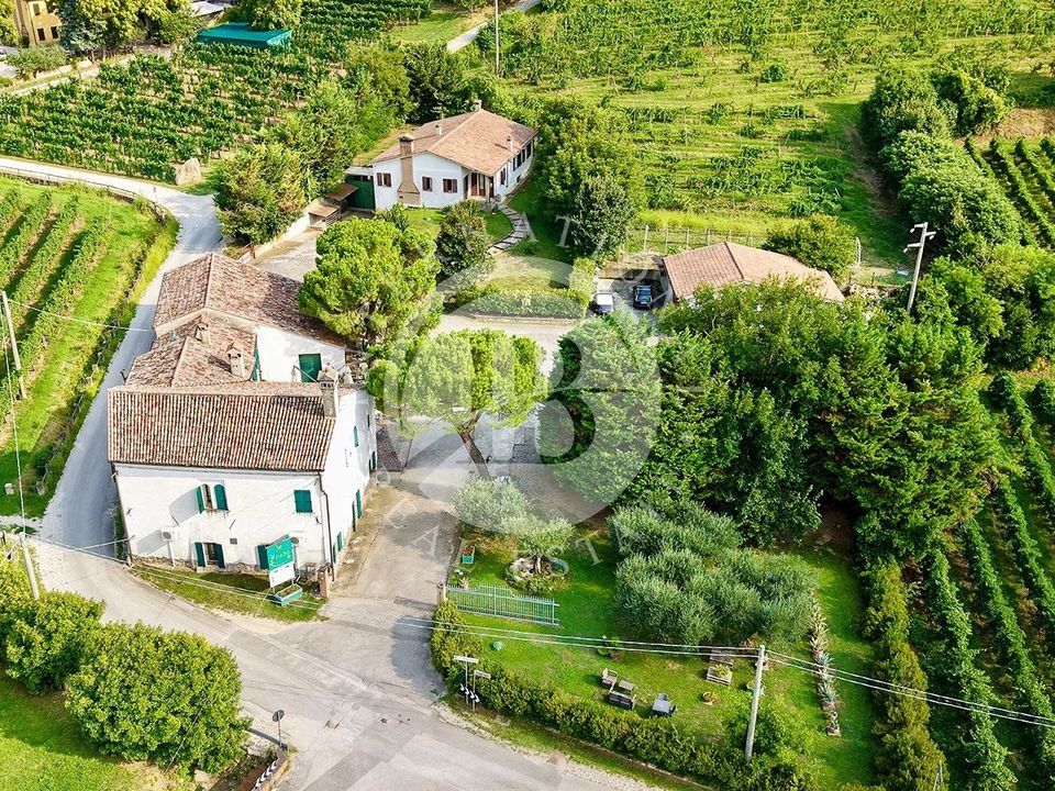 Villa i Vo', Padua - foto 3
