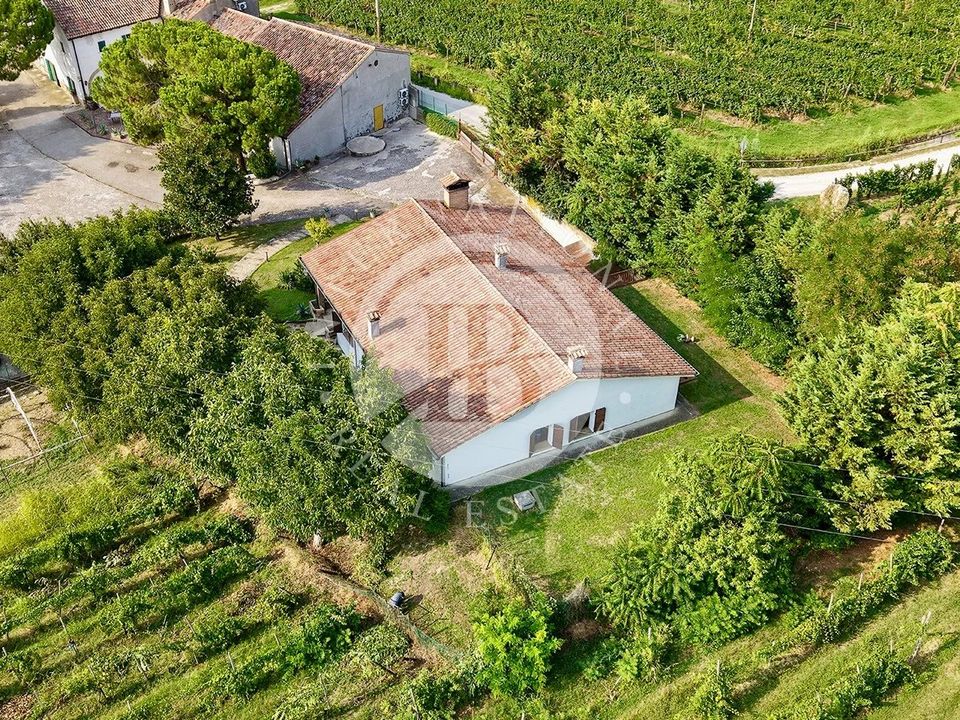 Villa i Vo', Padua - foto 5
