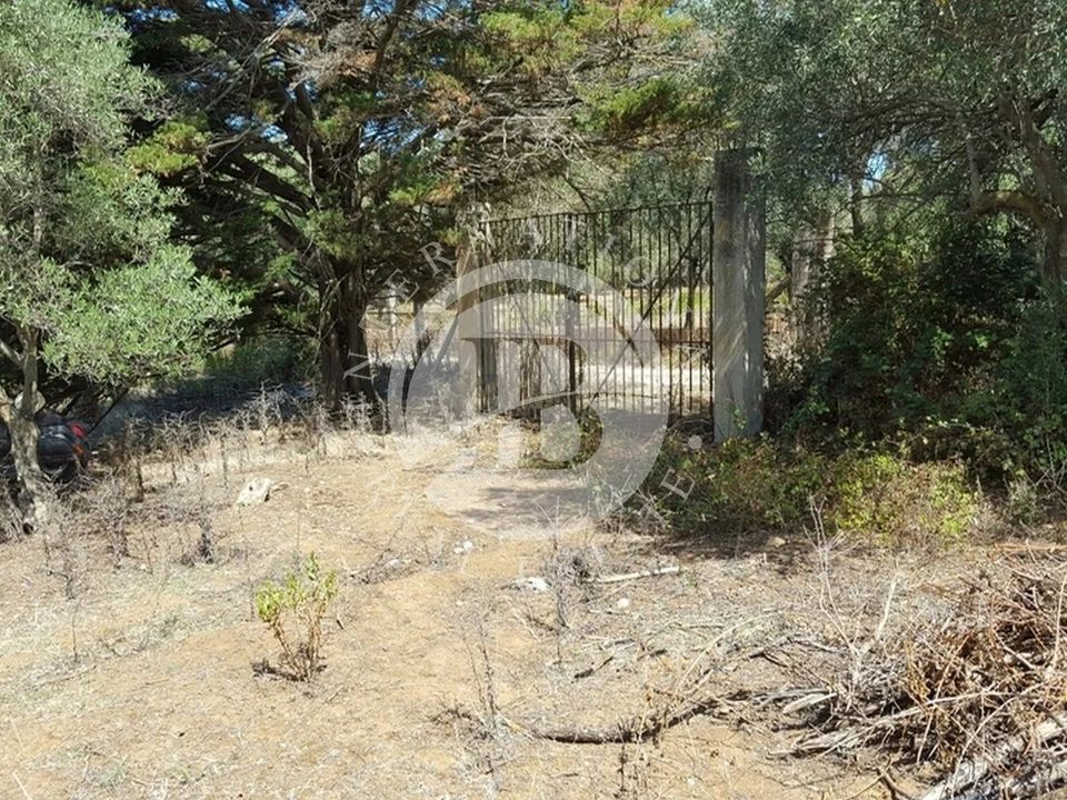 Villa i Ricadi, Vibo Valentia - foto 5