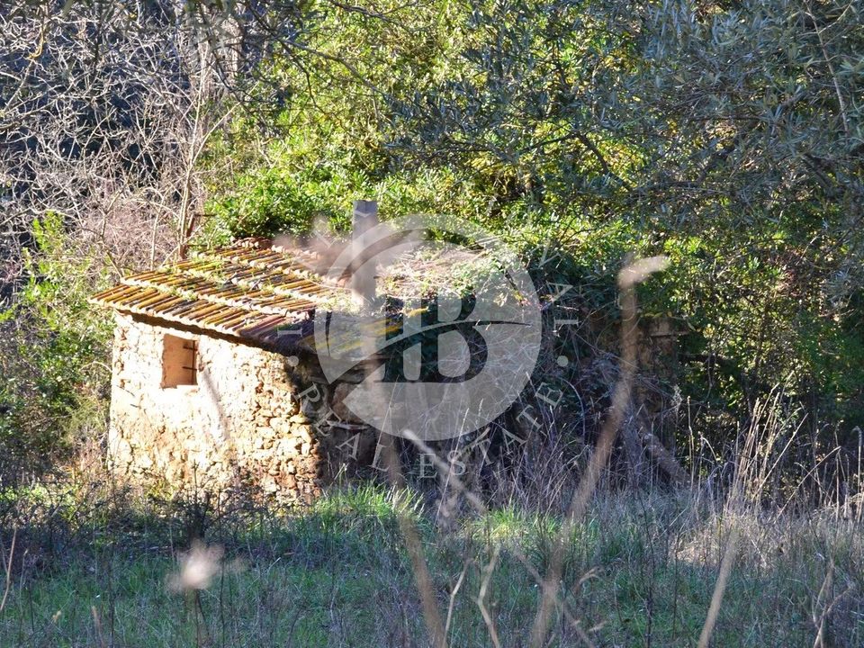 Villa a Montescudaio, Pisa - foto 2