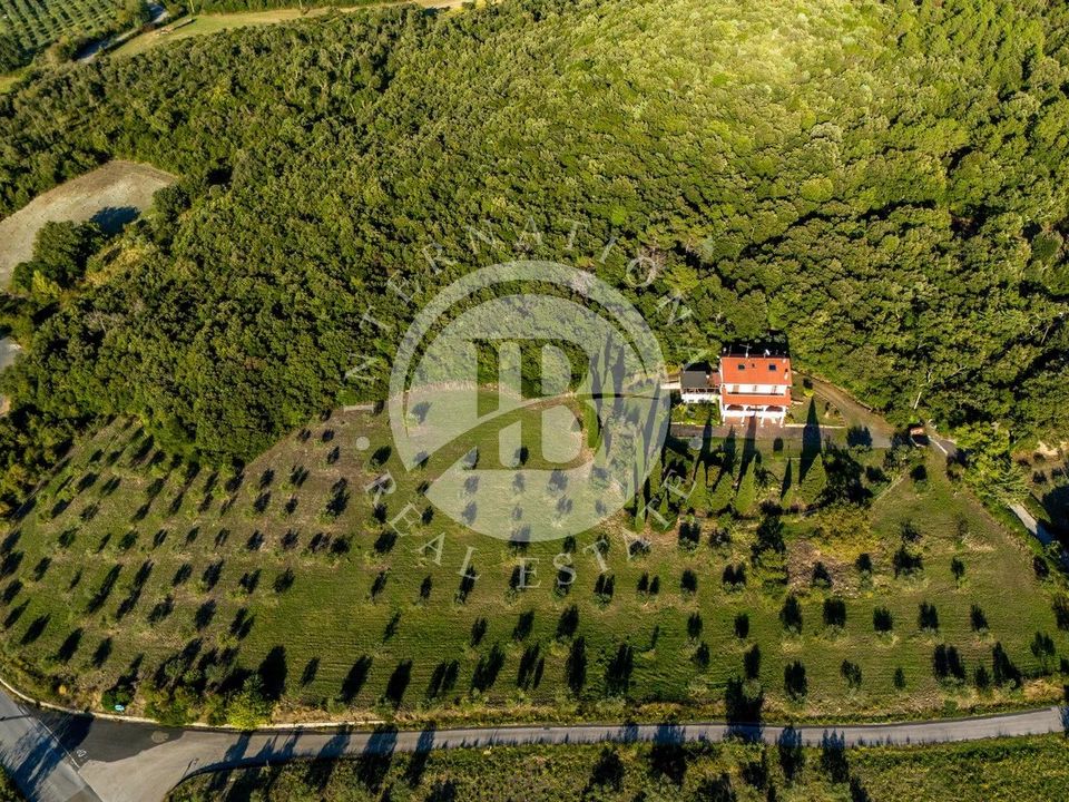 Villa i Riparbella, Pisa - foto 3