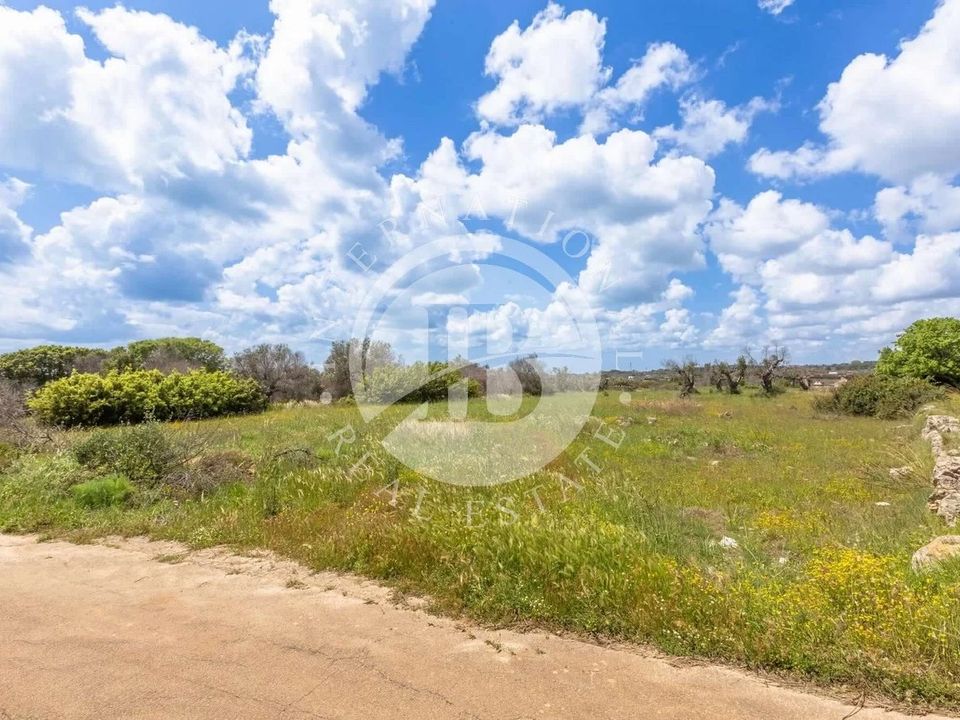 Villa i Castrignano del Capo, Lecce - foto 5