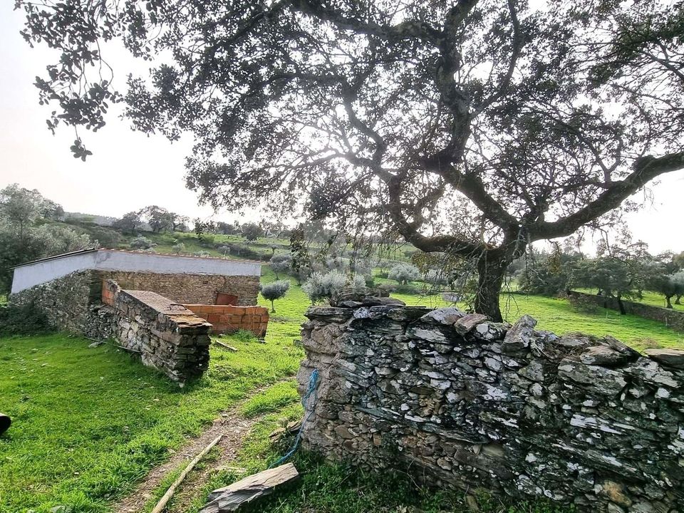 Helårsgrund i Perais, Castelo Branco - foto 1