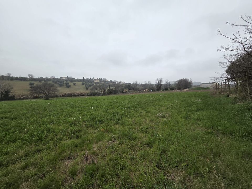 Siedlisko: Montecosaro, Macerata – zdjęcie 5