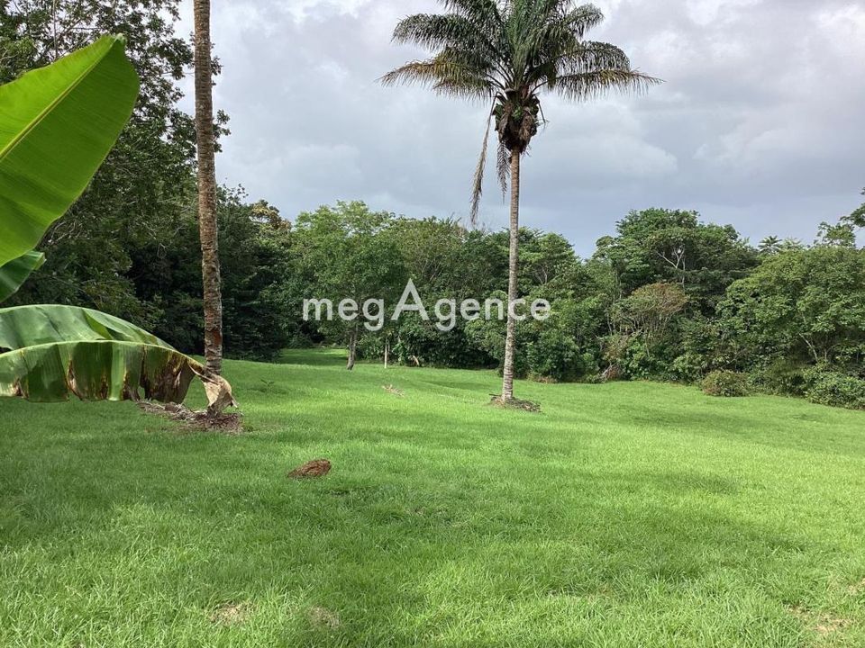 Terra a Matoury, French Guiana - foto 1
