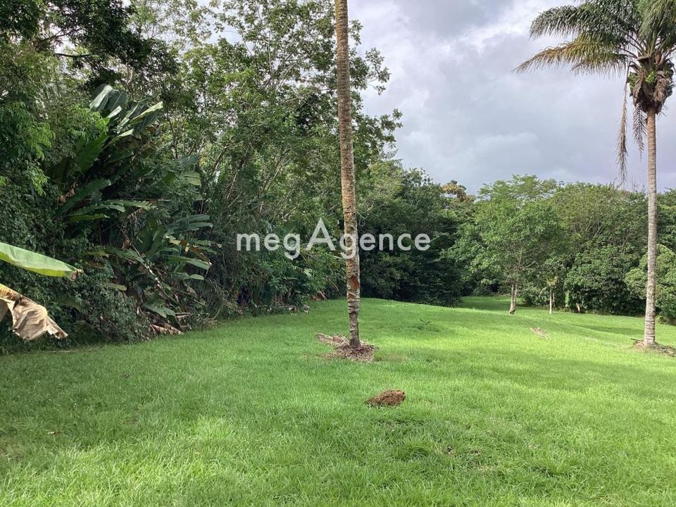Terra a Matoury, French Guiana - foto 5
