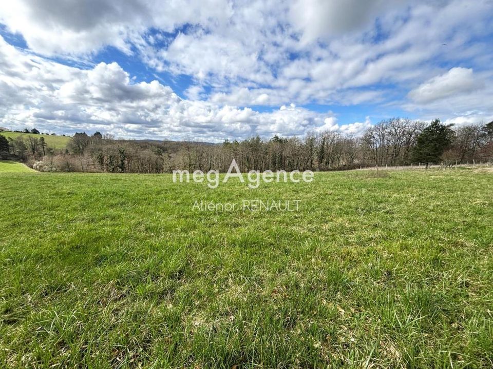 Terra a Plazac, Dordogne - foto 4