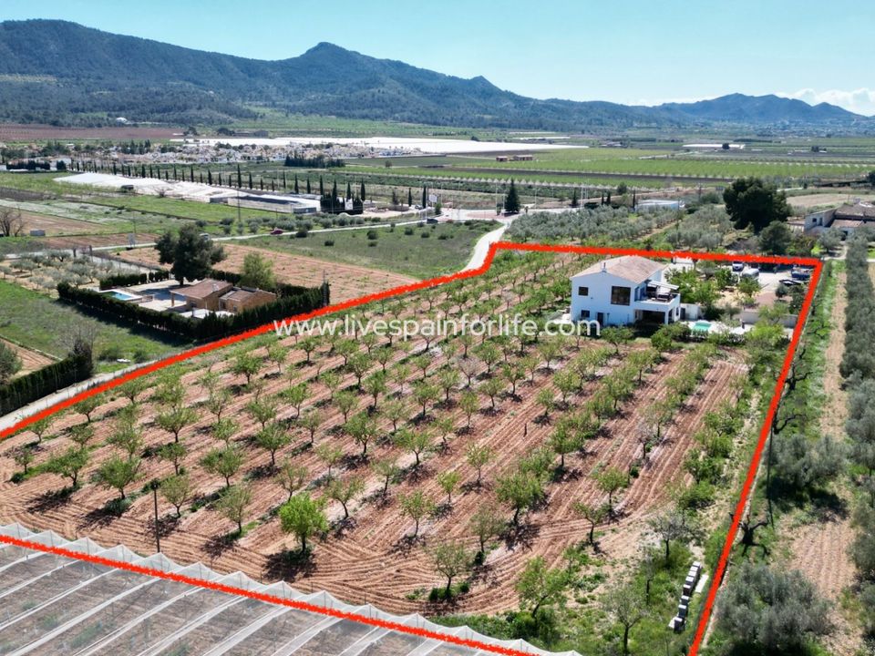 Villa i Hondon De Las Nieves, Alicante - foto 2