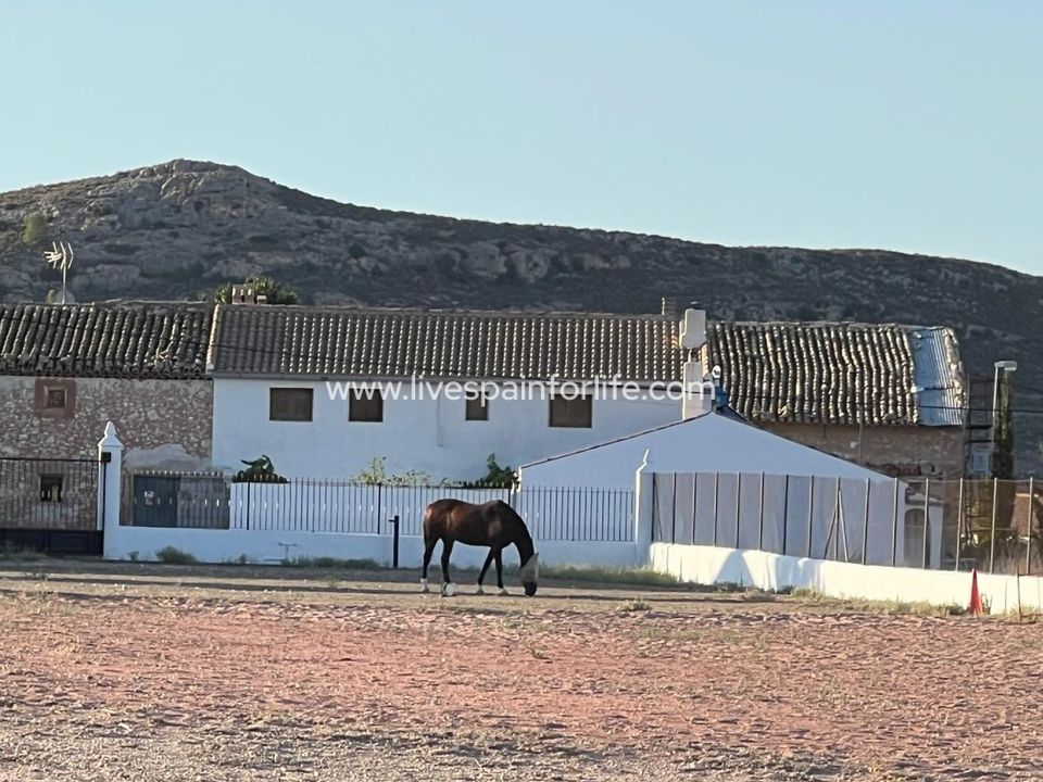 Landejendom i Murcia, Murcia - foto 1