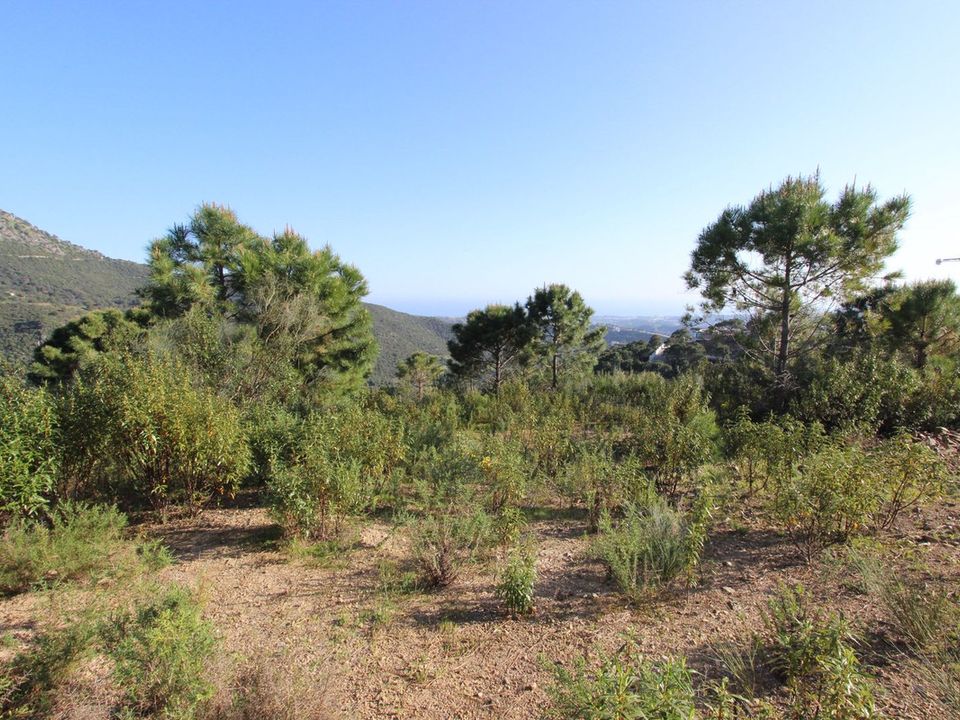 Helårsgrund i Benahavis, Malaga - foto 1