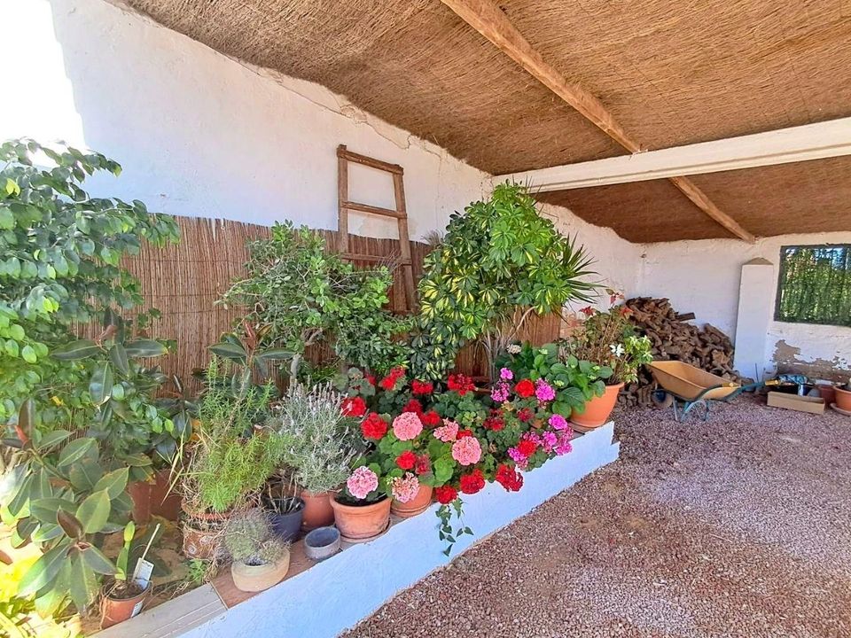 Villa i Elche, Alicante - foto 5