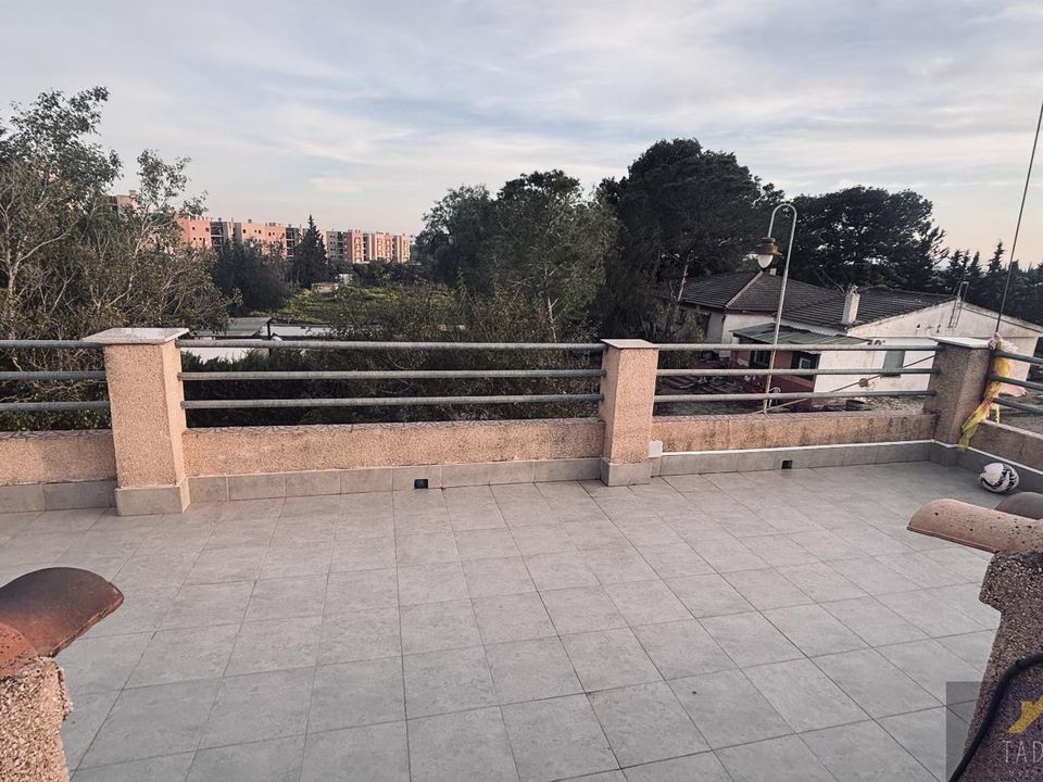 Finca i Gea Y Truyols, Murcia - foto 5