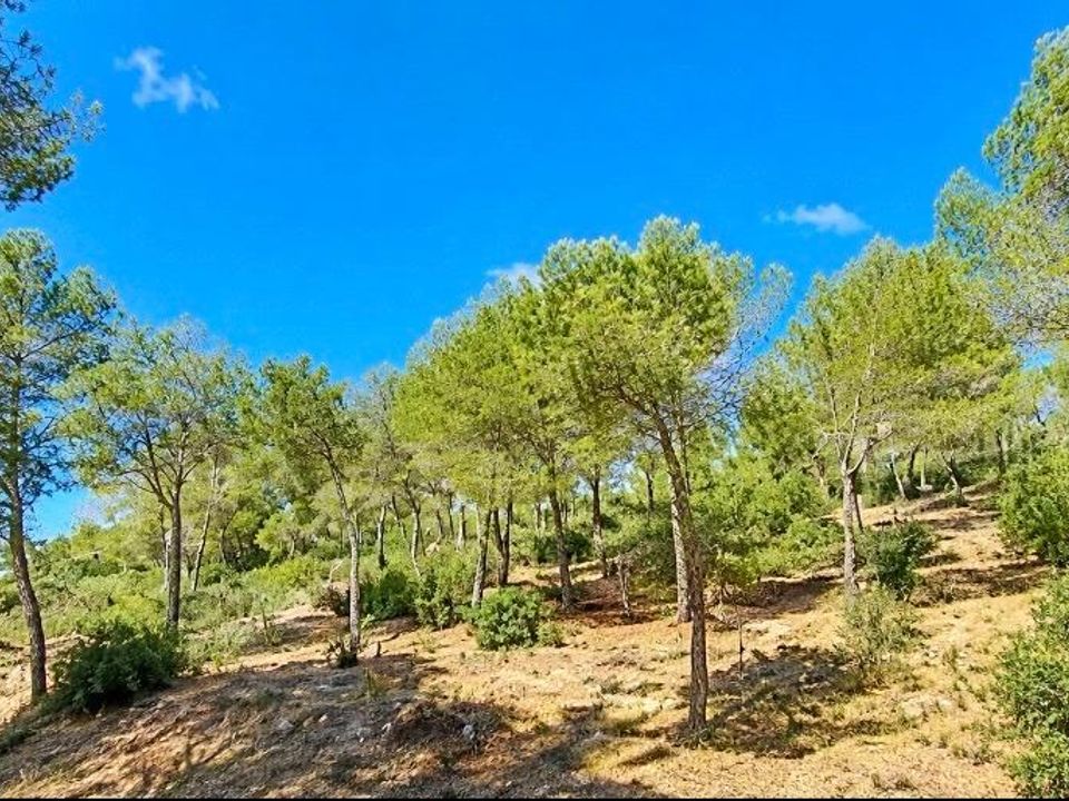 Helårsgrund i Capdepera, Mallorca - foto 3