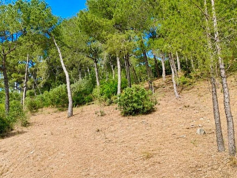 Helårsgrund i Capdepera, Mallorca - foto 4