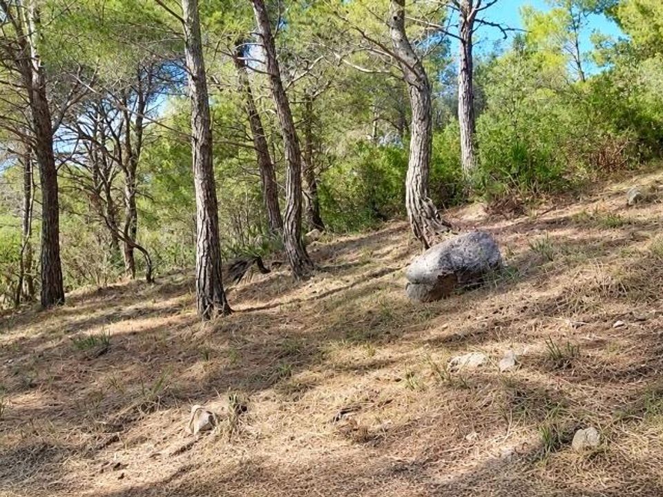 Helårsgrund i Capdepera, Mallorca - foto 5