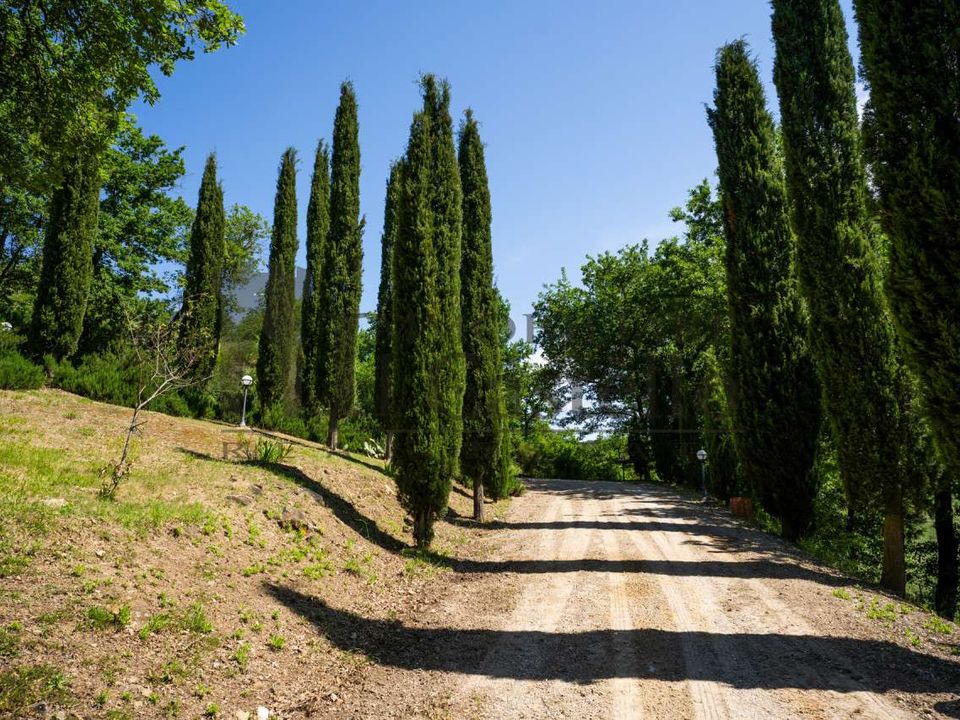 Farm hus i Sinalunga, Siena - foto 5