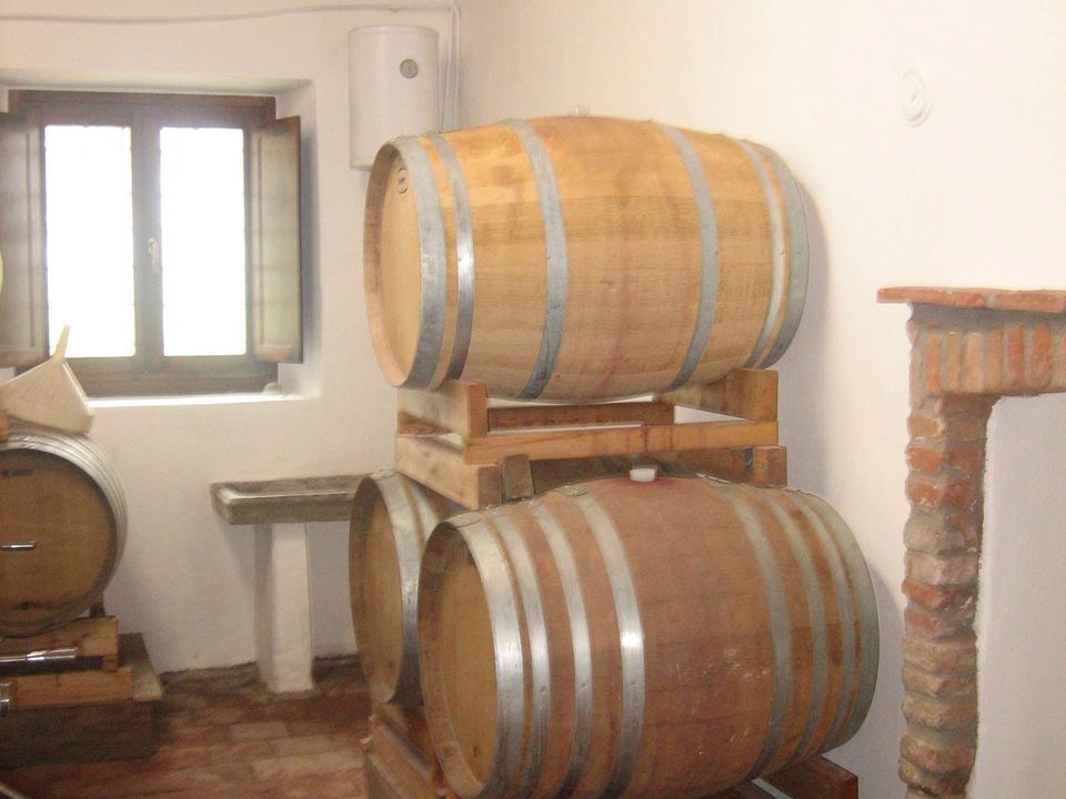 Farm hus i Ovada, Alessandria - foto 3