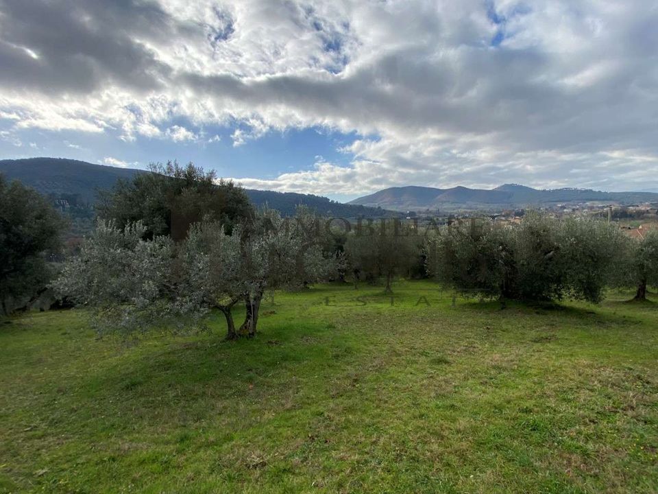Villa i Magione, Perugia - foto 4