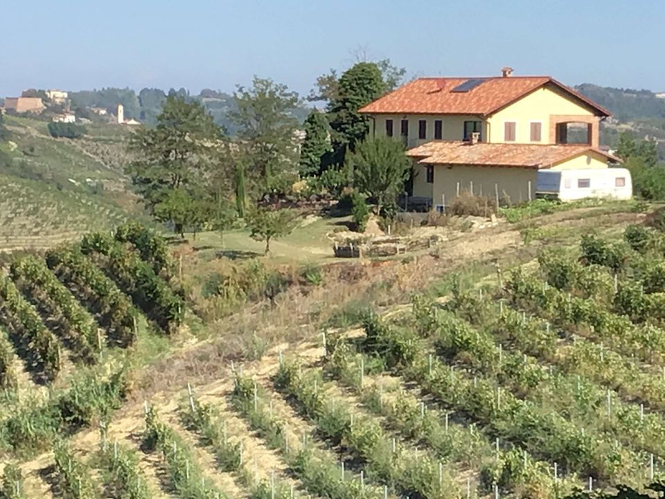 Landejendom i Castelnuovo Calcea, Asti - foto 2