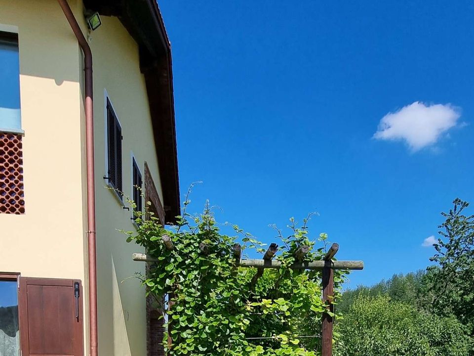 Landejendom i Castelnuovo Calcea, Asti - foto 4