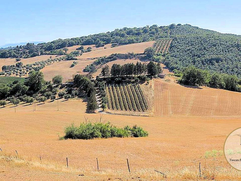 Farm hus i Preselle, Grosseto - foto 2