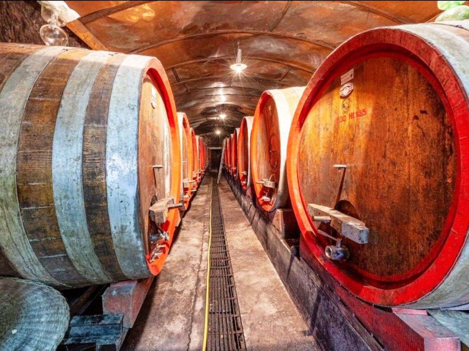 Landejendom i Montepulciano, Siena - foto 3