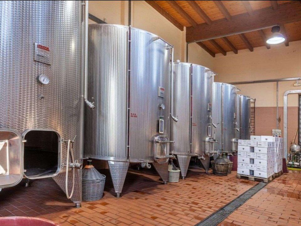 Landejendom i Montepulciano, Siena - foto 5