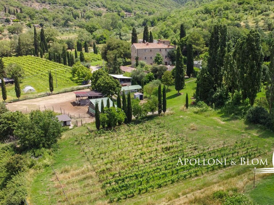 Villa i Tuoro sul Trasimeno, Perugia - foto 5