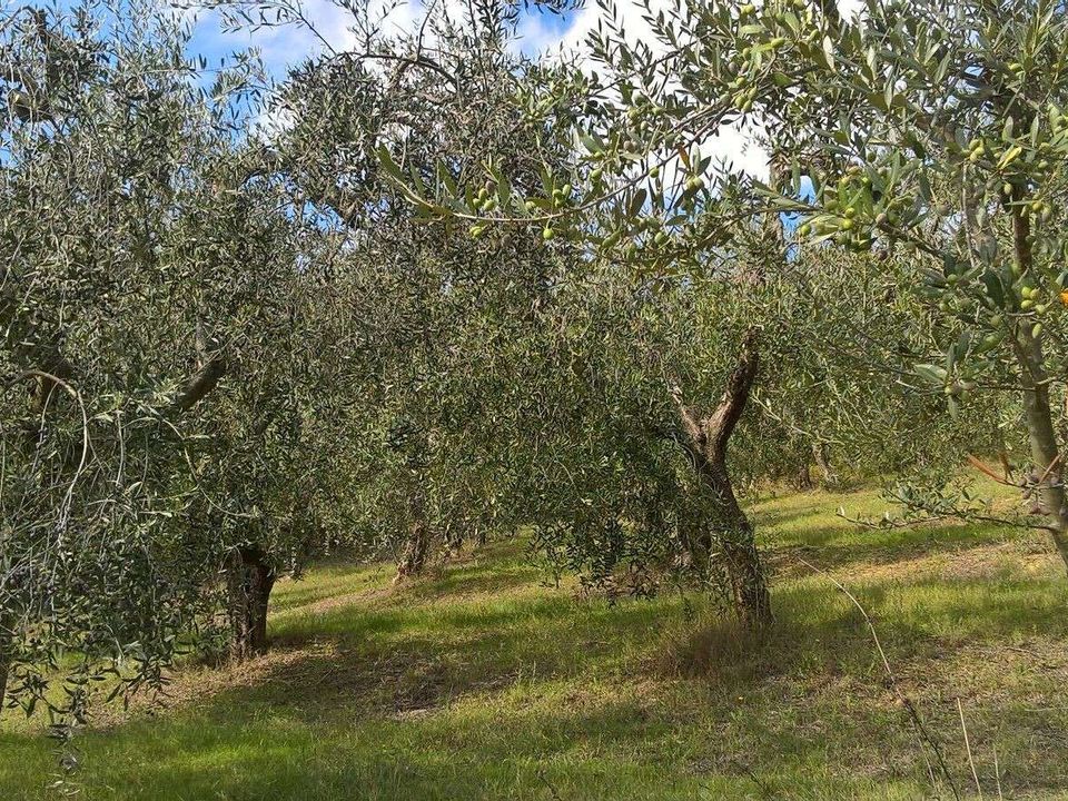 Villa i Lugnano in Teverina, Terni - foto 1