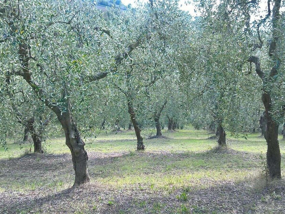 Villa i Lugnano in Teverina, Terni - foto 2