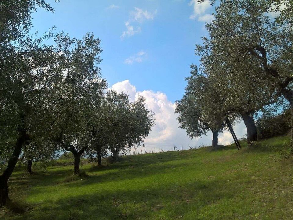 Villa i Lugnano in Teverina, Terni - foto 5