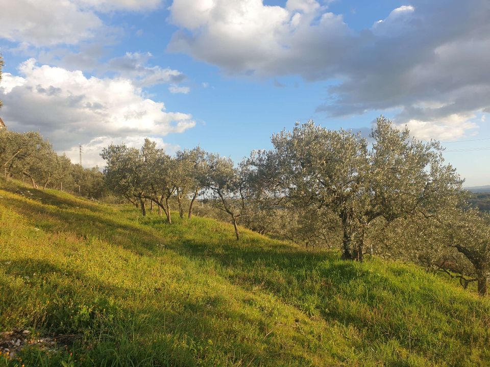Villa a Lugnano in Teverina, Terni - foto 1