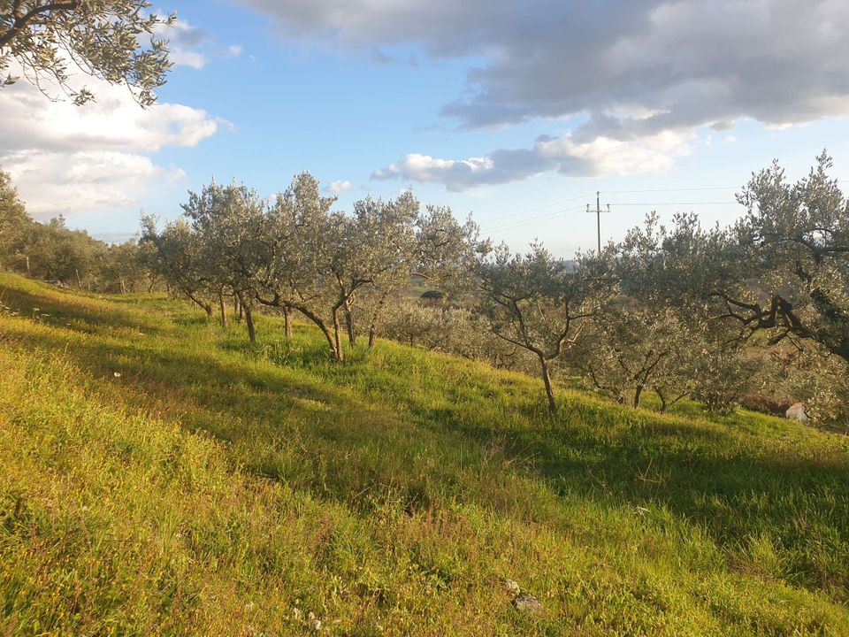 Villa a Lugnano in Teverina, Terni - foto 2