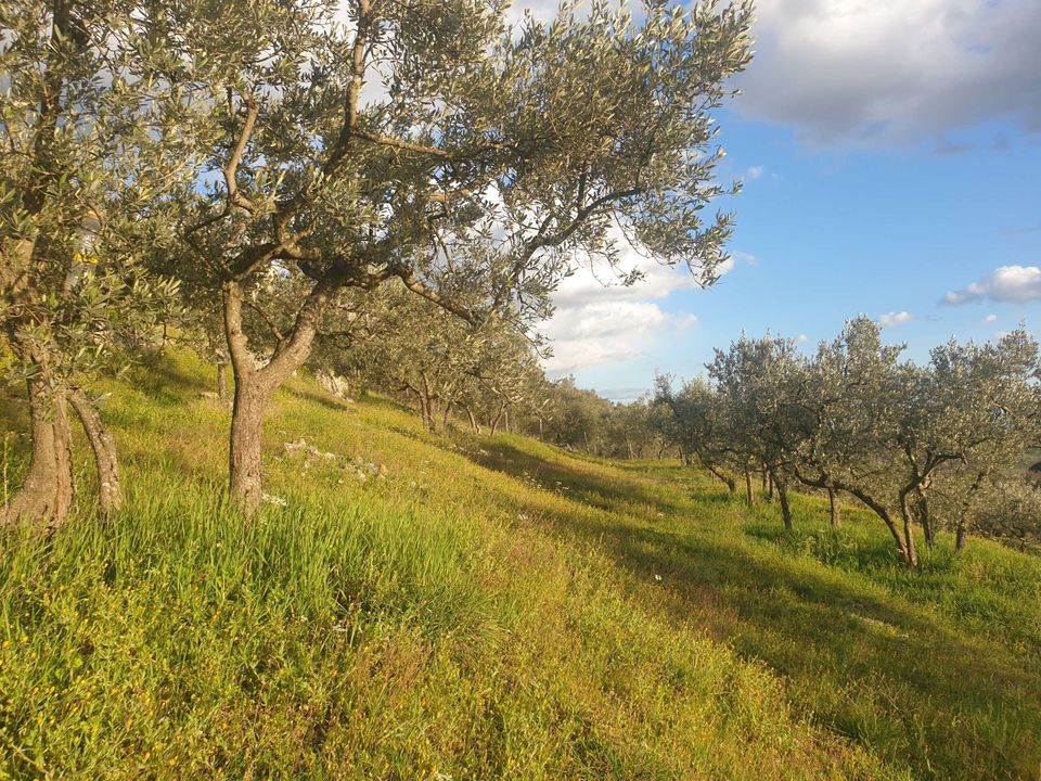 Villa a Lugnano in Teverina, Terni - foto 4