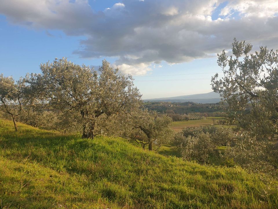 Villa a Lugnano in Teverina, Terni - foto 5