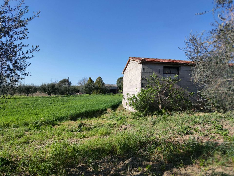 Villa i Alviano, Terni - foto 2