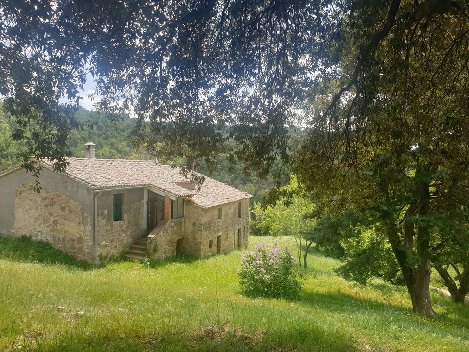 Villa i Orvieto, Terni - foto 3