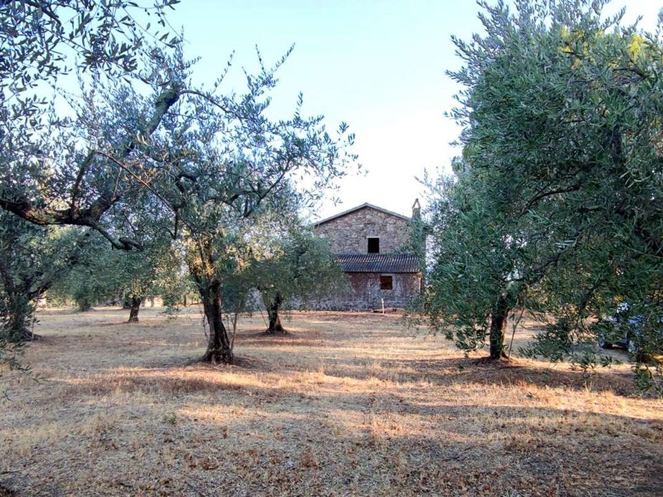 Villa - Baschi, Terni - photo 3
