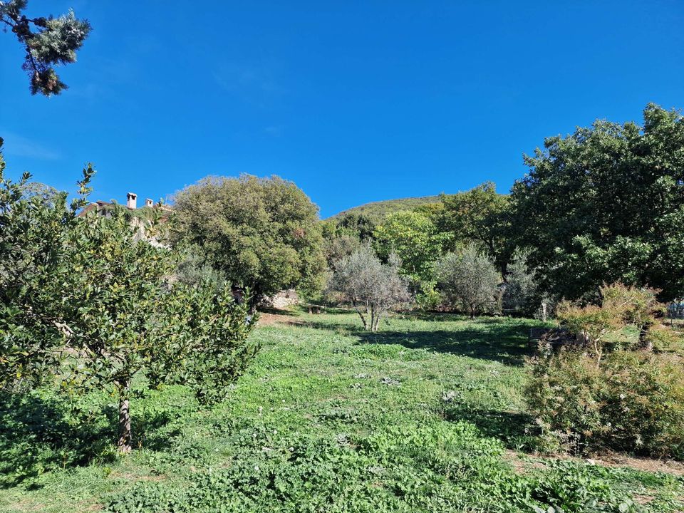 Villa i Lugnano in Teverina, Terni - foto 1