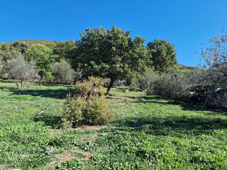 Villa i Lugnano in Teverina, Terni - foto 4