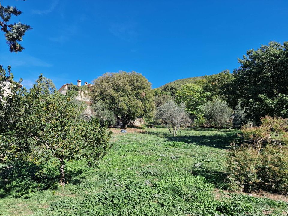 Villa i Lugnano in Teverina, Terni - foto 5